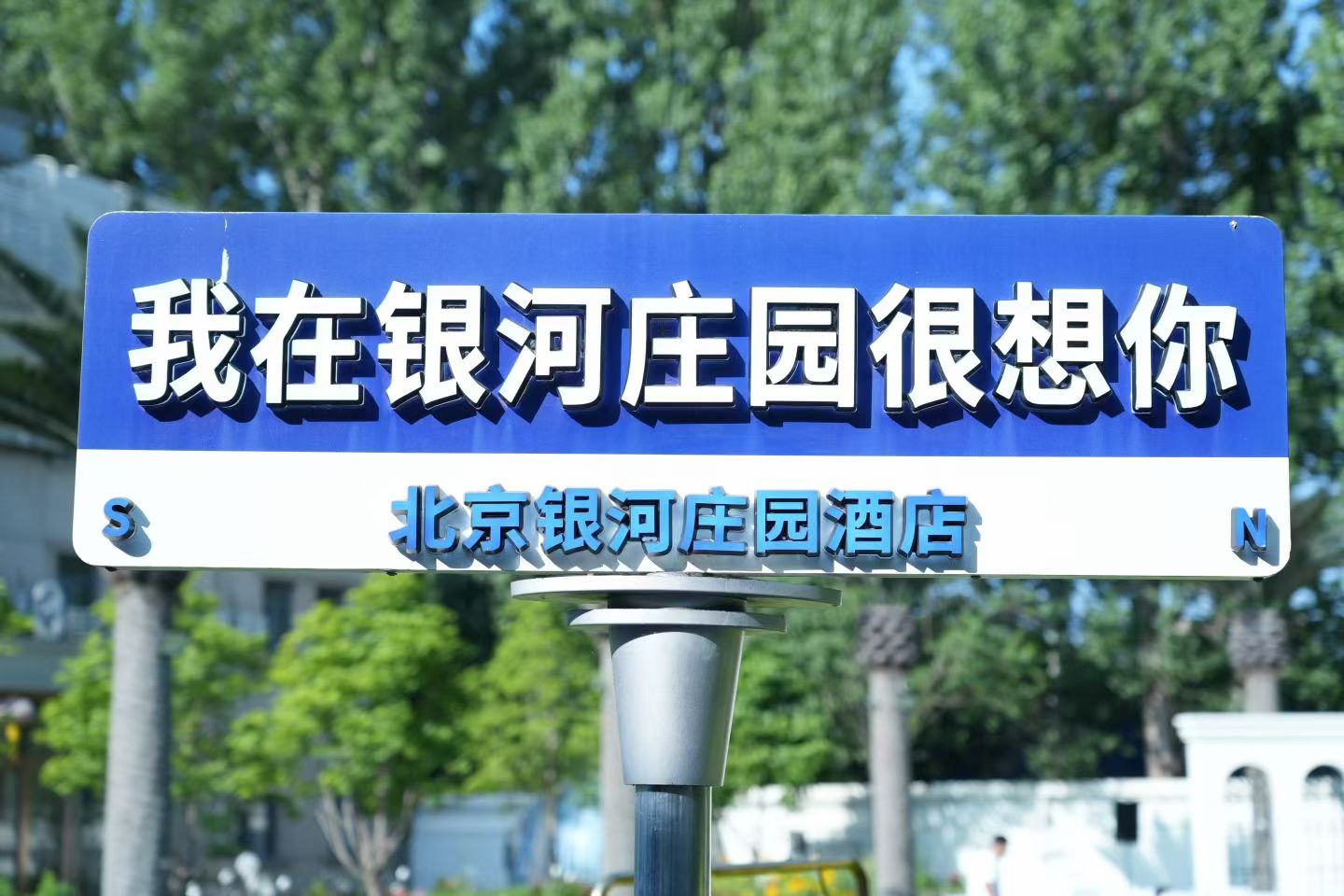 草坪婚礼